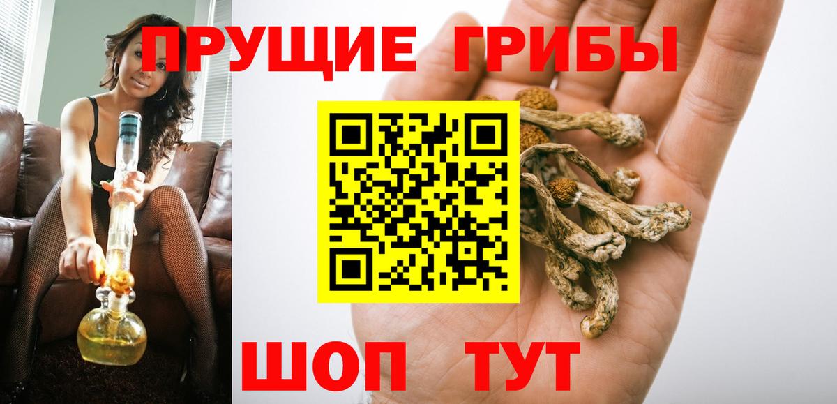 Галлюциногенные грибы Cubensis  Галлюциногенные грибы мицелий  Вход с VPN  Железноводск 